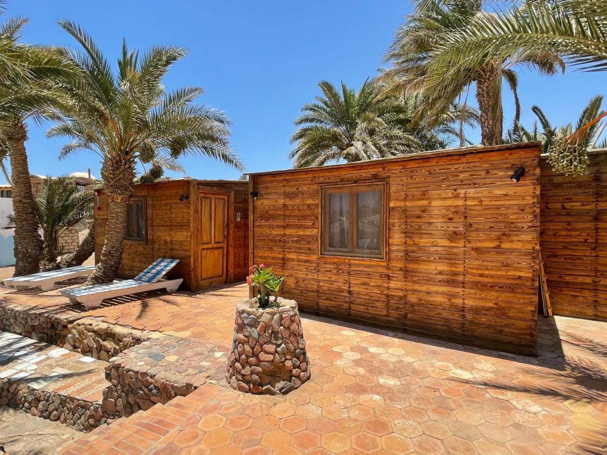 Dolphin Camp Dahab Exterior foto
