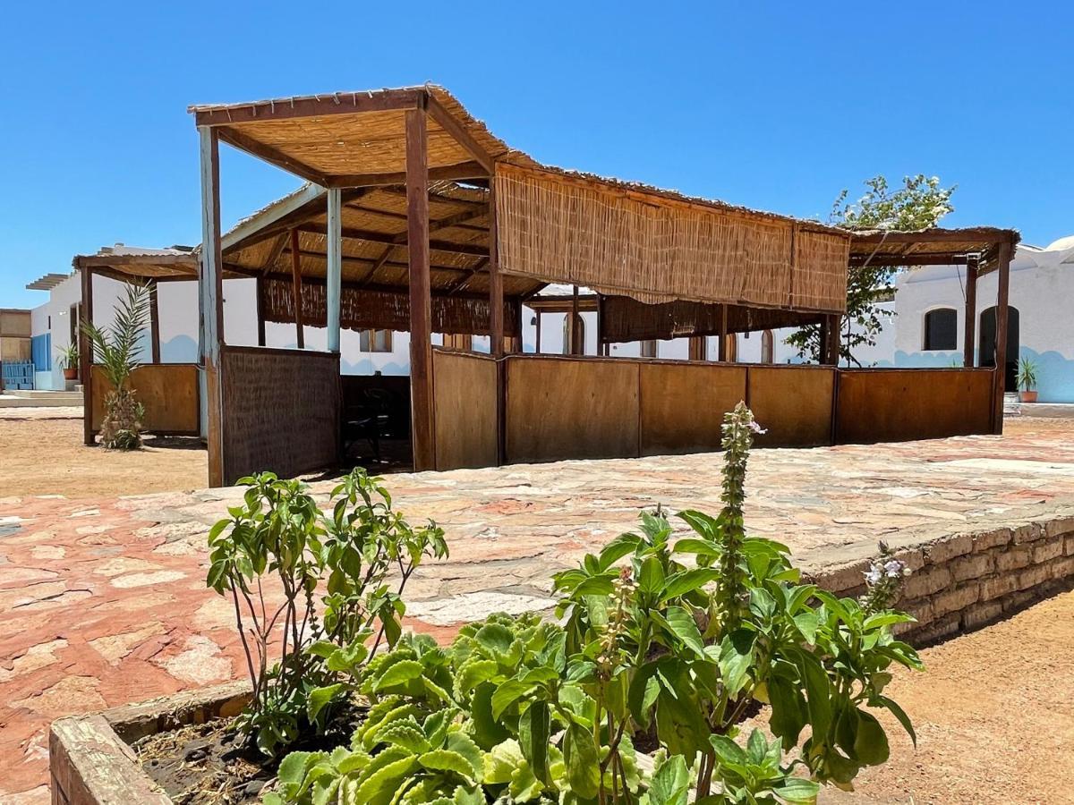 Dolphin Camp Dahab Exterior foto