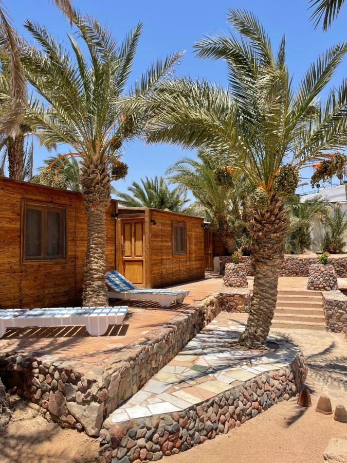 Dolphin Camp Dahab Exterior foto