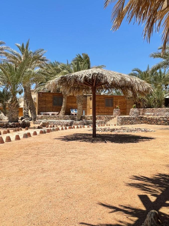 Dolphin Camp Dahab Exterior foto