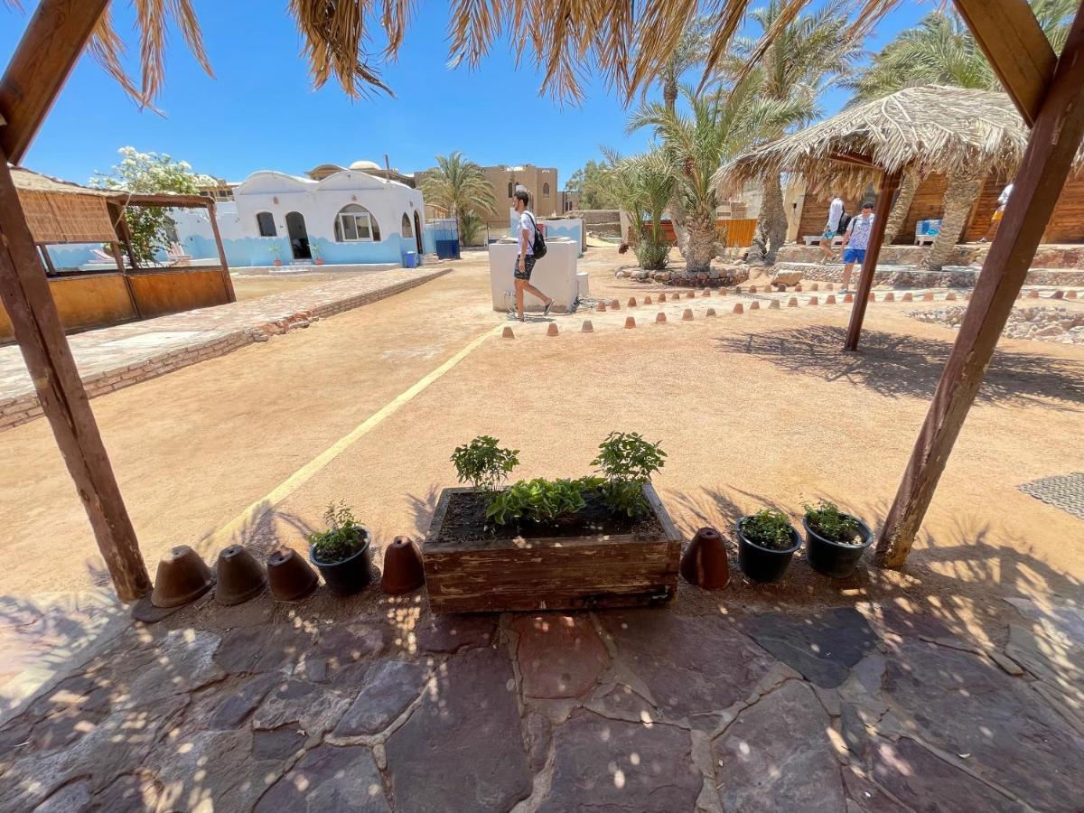 Dolphin Camp Dahab Exterior foto