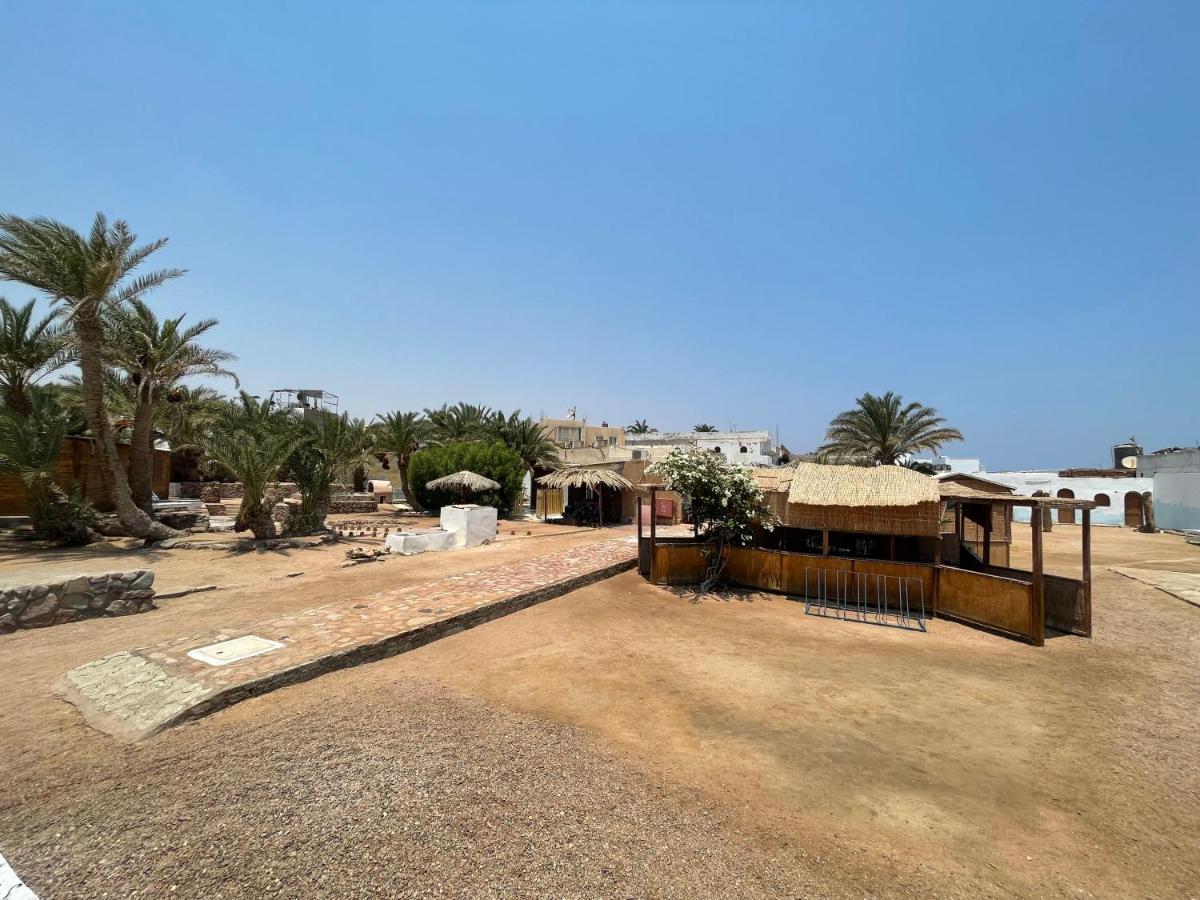 Dolphin Camp Dahab Exterior foto