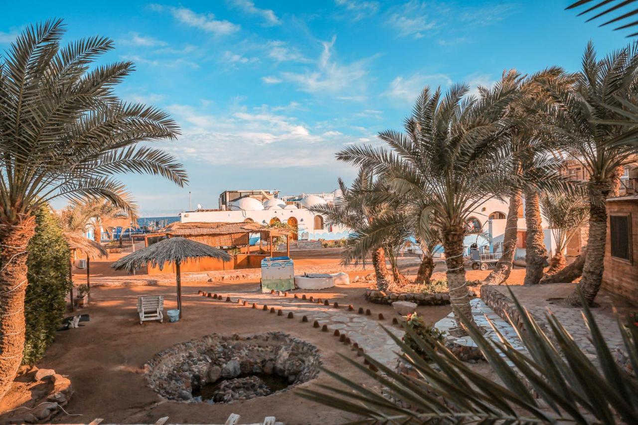 Dolphin Camp Dahab Exterior foto