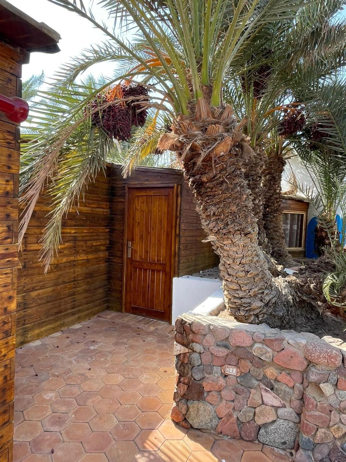 Dolphin Camp Dahab Exterior foto