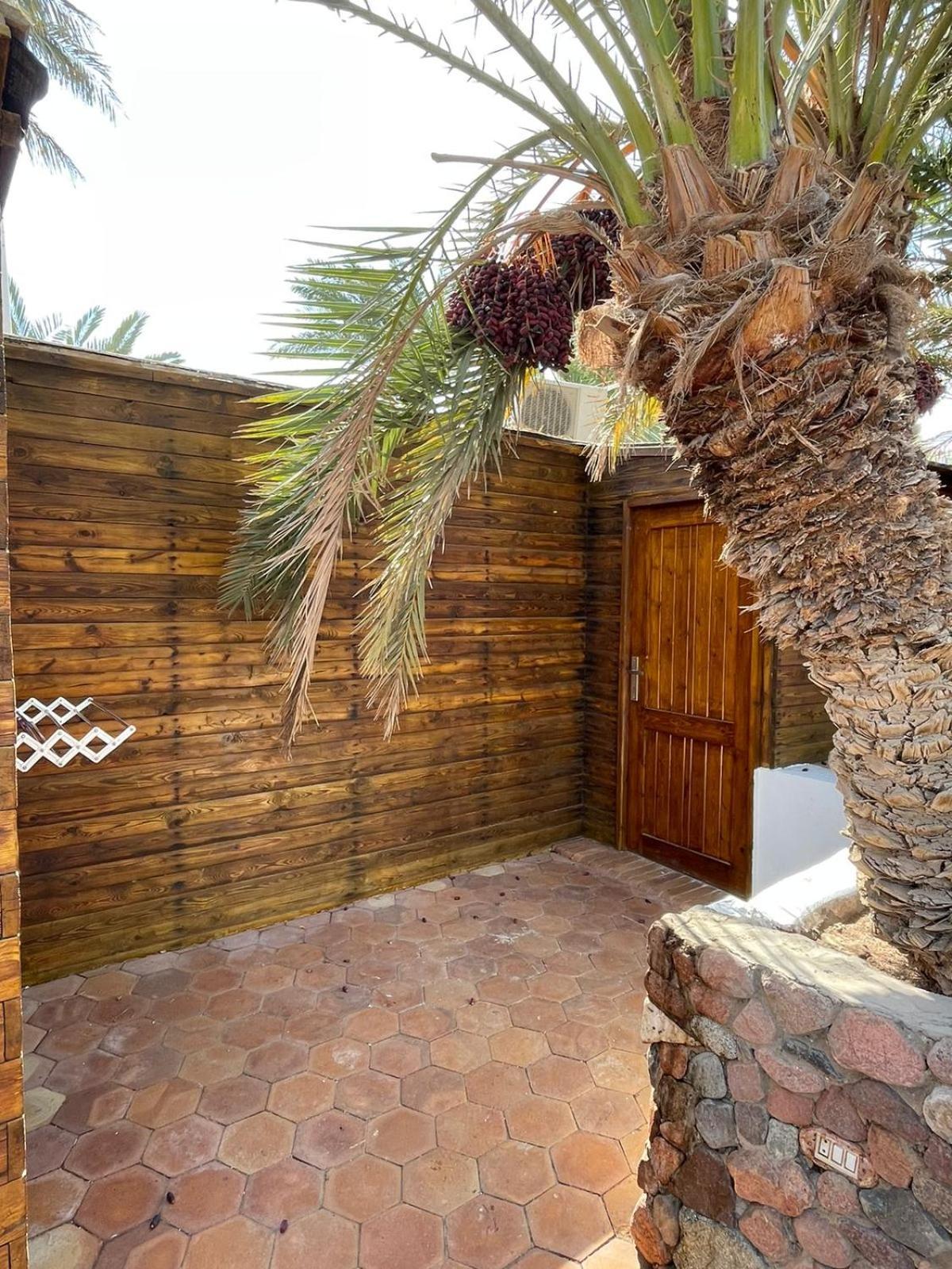 Dolphin Camp Dahab Exterior foto